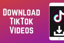 tiktok video downloader