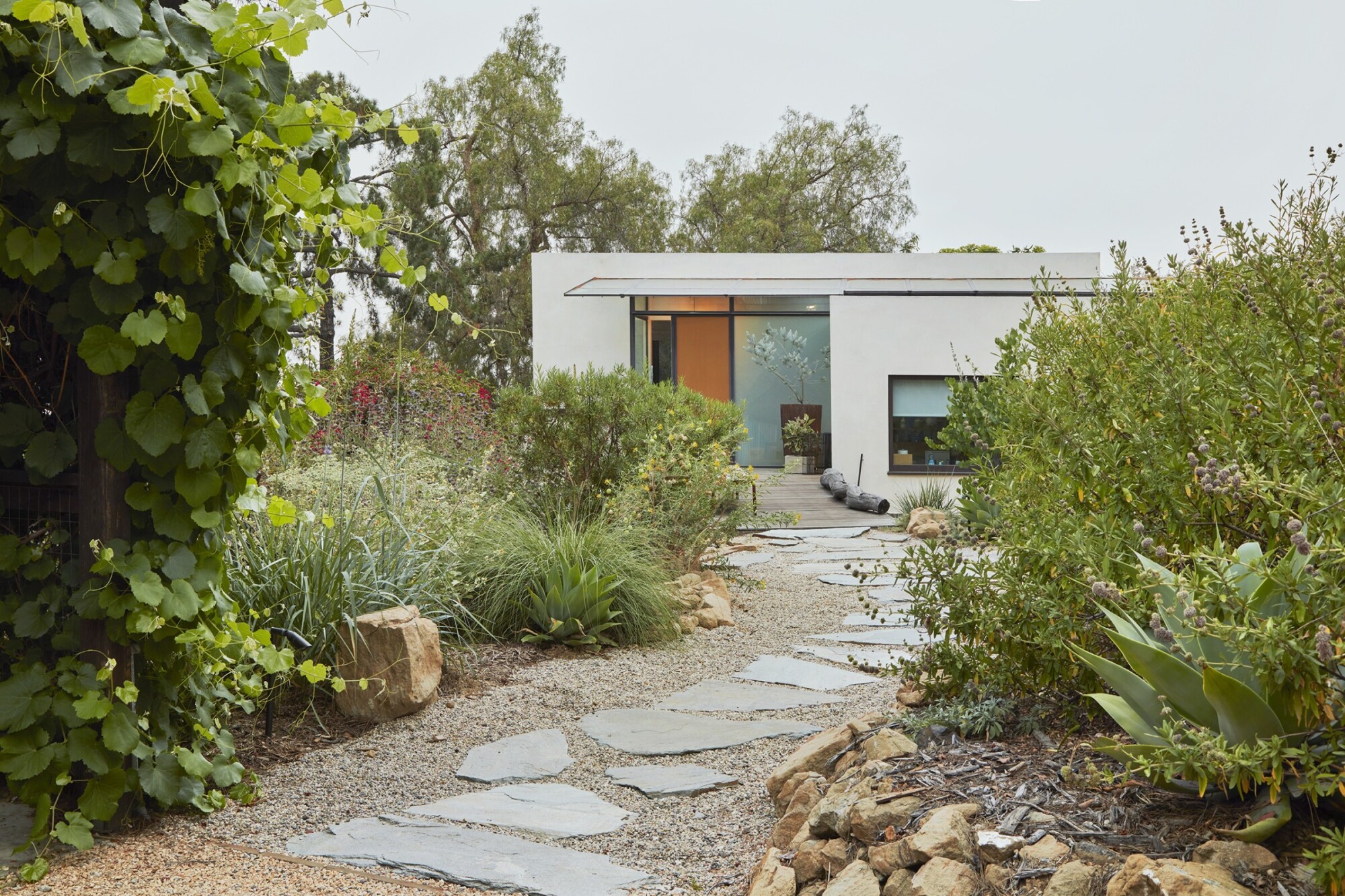 Native plants line a stone walkway in front of a house