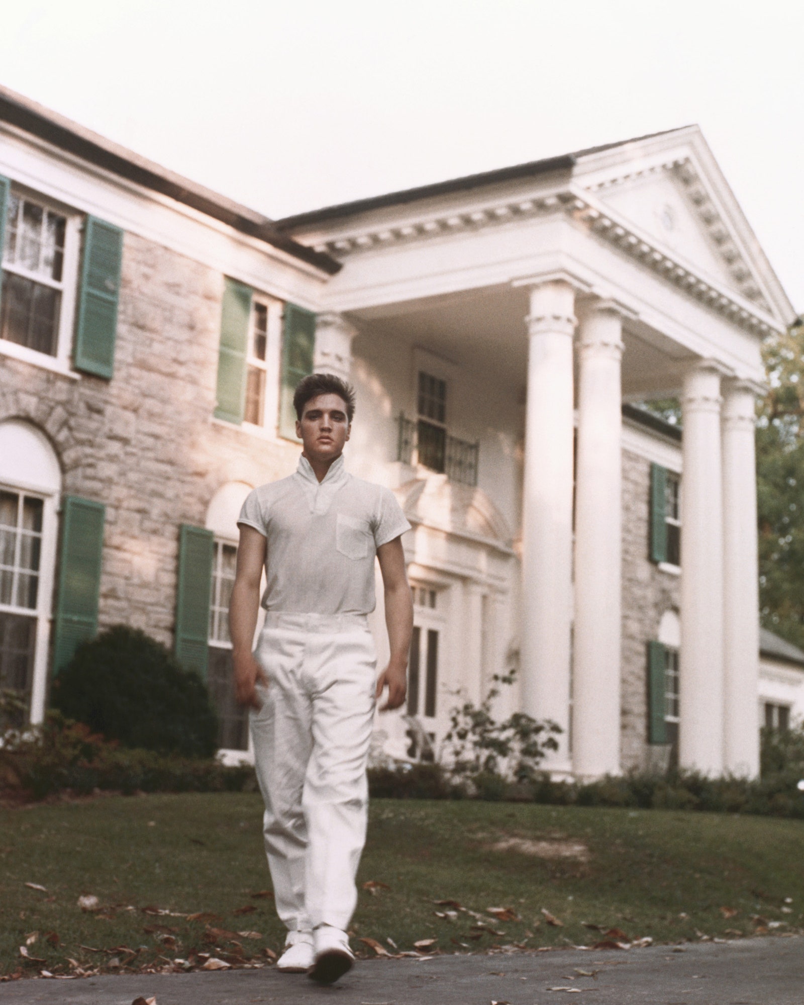 Image may contain Elvis Presley Grass Plant Human Person Home Decor Clothing Apparel Housing Building and Shorts