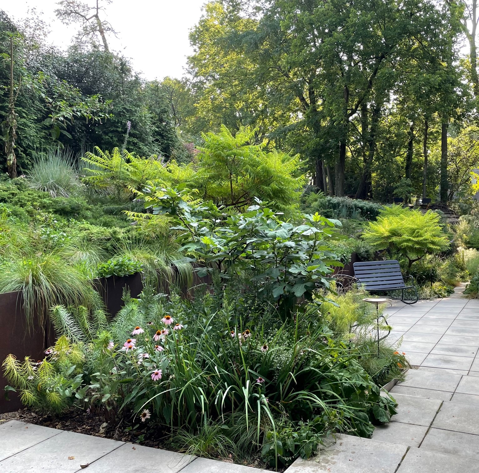 Nadia Malarkey’s design provides space for native pollinators and birds. NANCY DANKOF/COURTESY PHOTO