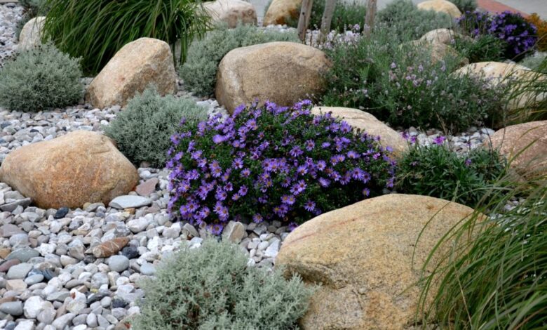 Utilizing rocks as a substitute of mulch: the versatile different