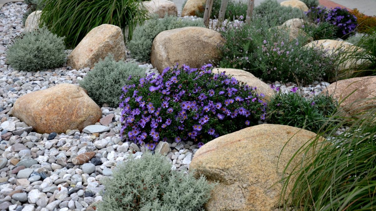 Using rocks instead of mulch: the versatile alternative