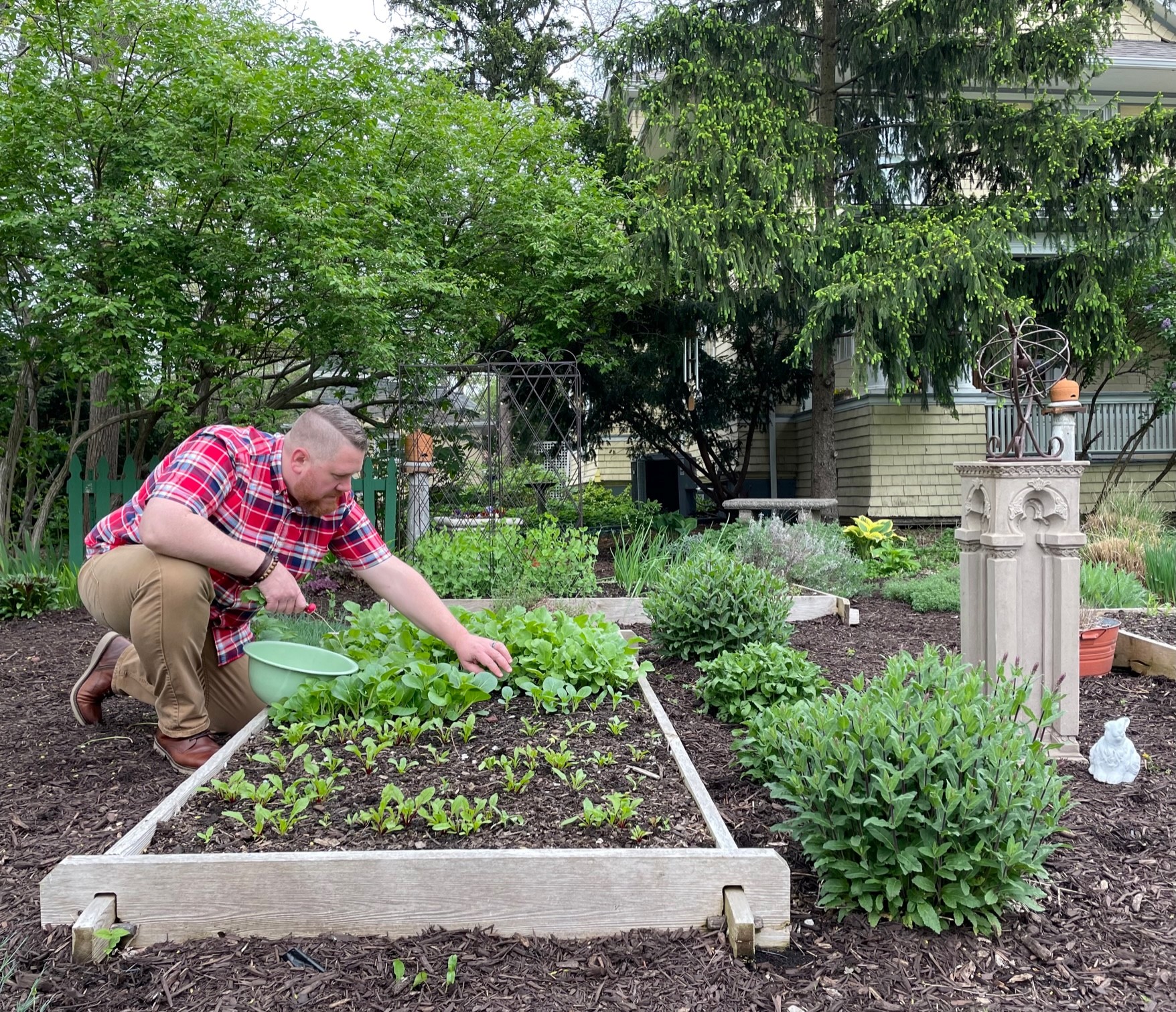 Justin Mohler, owner of Salt Block Biscuit Company, picks vegetables for his restaurant. His garden is part of the Garden Club of Dayton’s upcoming Garden Gems Tour on June 11. NANCY DANKOF/COURTESY PHOTO. 