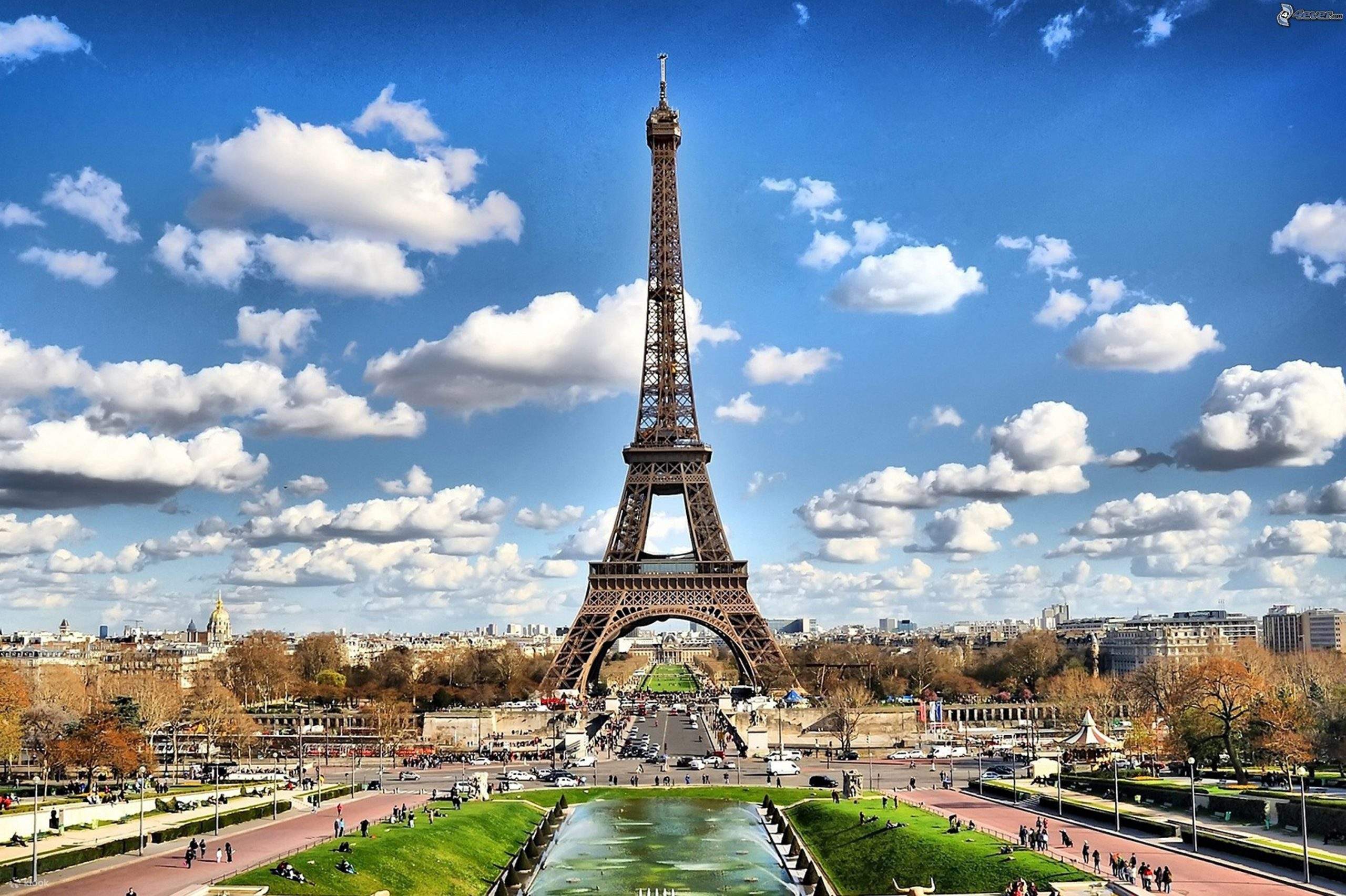 Explore the Eiffel Tower with Guided and Private Tours