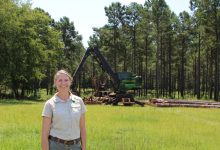 Tree Care