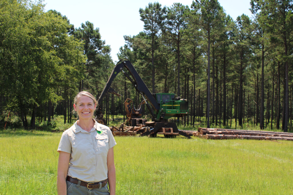 Tree Care