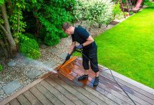 How to Safely Pressure Wash Around Plants in Your Garden