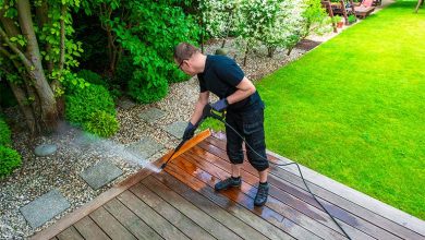 How to Safely Pressure Wash Around Plants in Your Garden