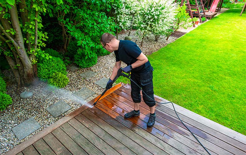 How to Safely Pressure Wash Around Plants in Your Garden