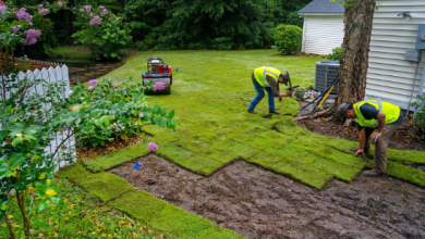 Which Lawn Replacement Services Are Right for Your Needs?