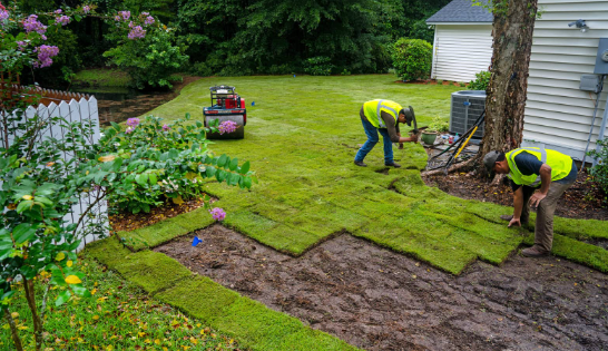 Which Lawn Replacement Services Are Right for Your Needs?