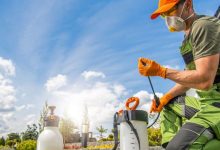 Eco-Friendly Exterminator Options in Niskayuna, NY