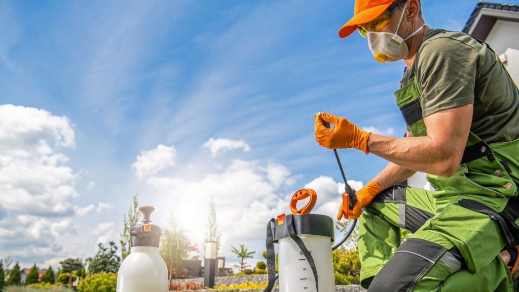 Eco-Friendly Exterminator Options in Niskayuna, NY